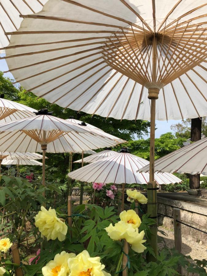 京都Cozyhouse 310 Free Wifi A Rented Electric Bicycle公寓 外观 照片