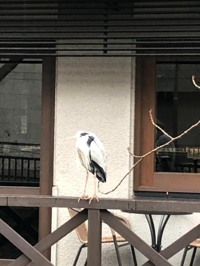 京都Cozyhouse 310 Free Wifi A Rented Electric Bicycle公寓 外观 照片